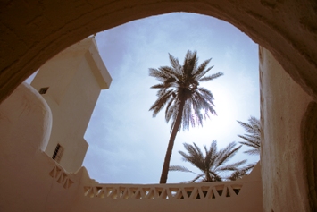 This photo of the architecture unique to the ancient town of Ghadames, Libya was taken by photographer Luca Galuzzi (www.galuzzi.it) and is used courtesy of the Creative Commons License.  Structures in Ghadames (which is now a UNESCO World Heritage Site) were made out of mud, lime, and palm tree trunks and were built to withstand the extremes of the Saharan climate. (http://commons.wikimedia.org/wiki/File:Libya_4378_Ghadames_Luca_Galuzzi_2007.jpg)